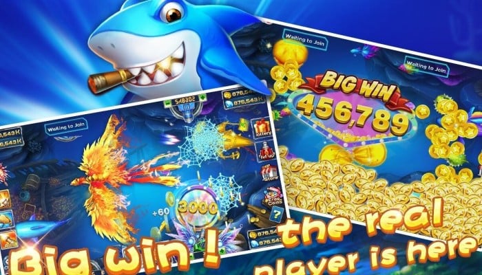 Betting Fishing Puspa Club